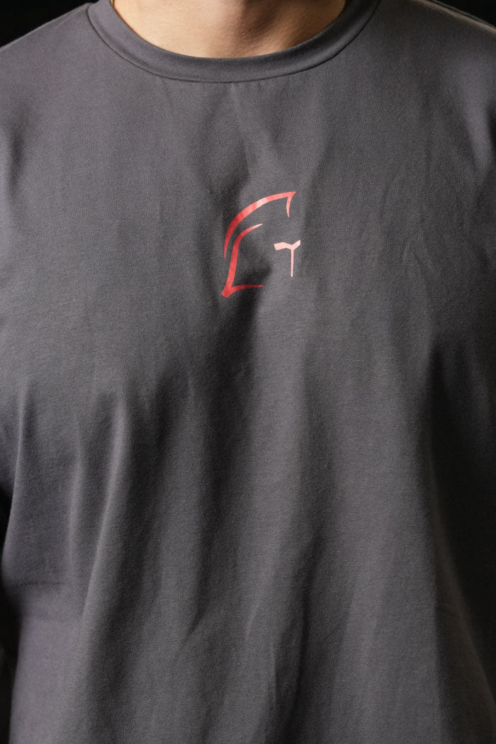 Legacy Oversized T-Shirt - Grey